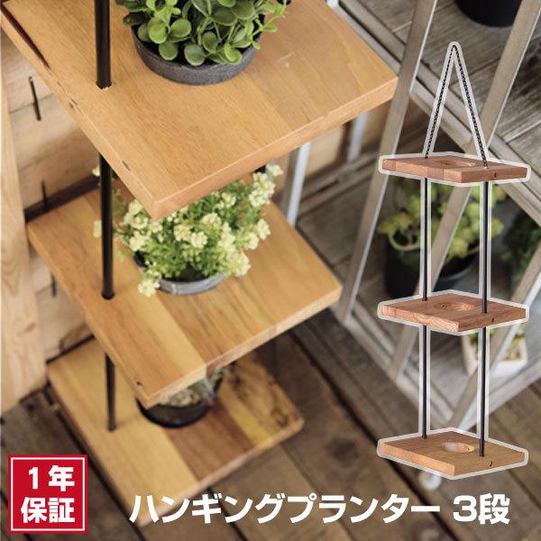 nMOv^[ 3i AZSP TTZ-313 a8cm u I[ig  A v^[  rO K[fjO K[f  Ǌ|