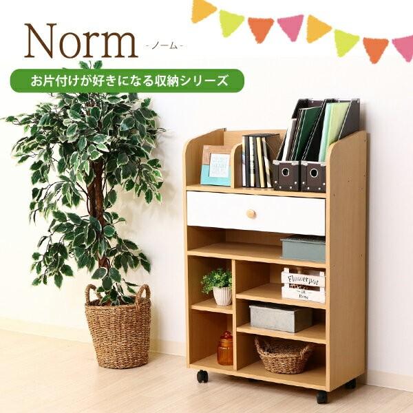 S̐ޒmƋ hZbN {I  [ [bN ǂ LX^[t LbY @\ VFt 62cm