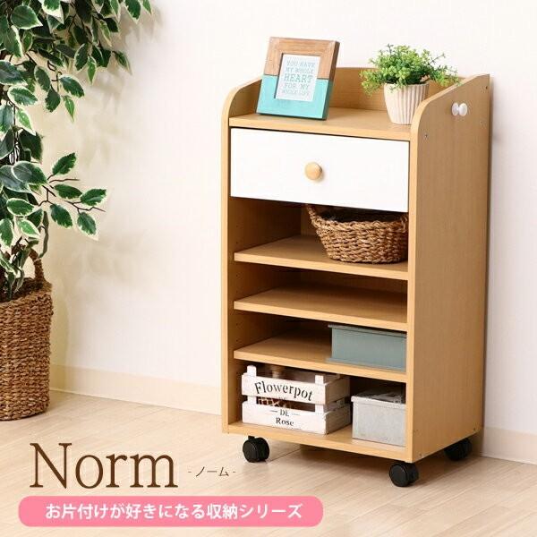 S̐ޒmƋ hZbN {I  [ [bN ǂ ސ LbY @\ VFt 41.5cm Ch o