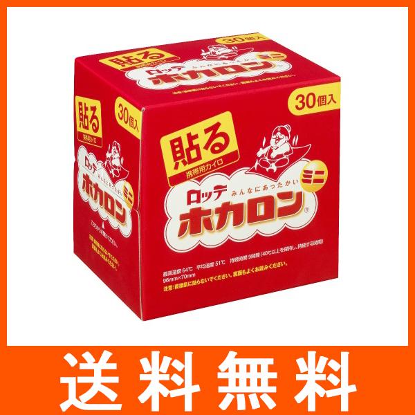ホカロン ホカロンミニ 貼るタイプ 30個入 ロッテ : アットツリー ホカロンミニ