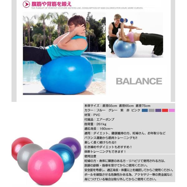 バランスボール ヨガボール 55cm エクササイズ ダイエット 健康器具 骨盤矯正 トレーニングシェイプアップ 空気入れ 骨盤枕 筋トレ Buyee Buyee 提供一站式最全面最专业现地yahoo Japan拍卖代bid代拍代购服务 Bot Online