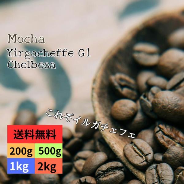 ⭐︎ハンドピック済 エチオピア イルガチェッフェ 約3kg(2,900g