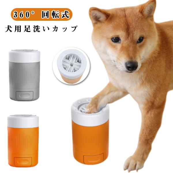 サイズ：約90mm×145mm