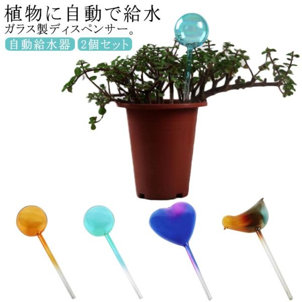 水差し 鉢植え 観葉植物 自動給水器 2個セット 自動水やり器 給水
