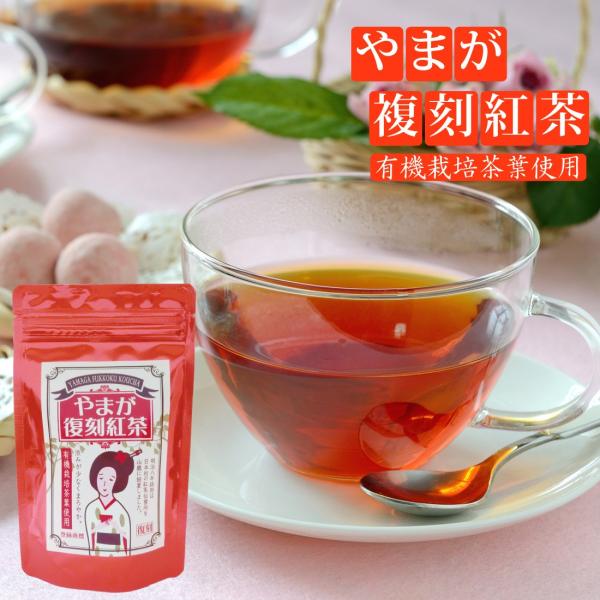 g/g eB[obO/B/F{/{ ܂g (10ܓ)yYnz