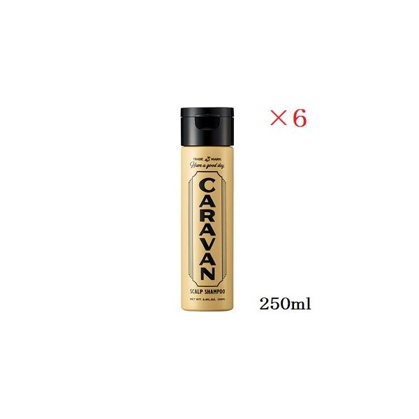 デミ　キャラバン　スカルプシャンプー　250ml【6個セット】 デミ キャラバン スカルプシャンプー 250ml ×6セット (医薬部外品