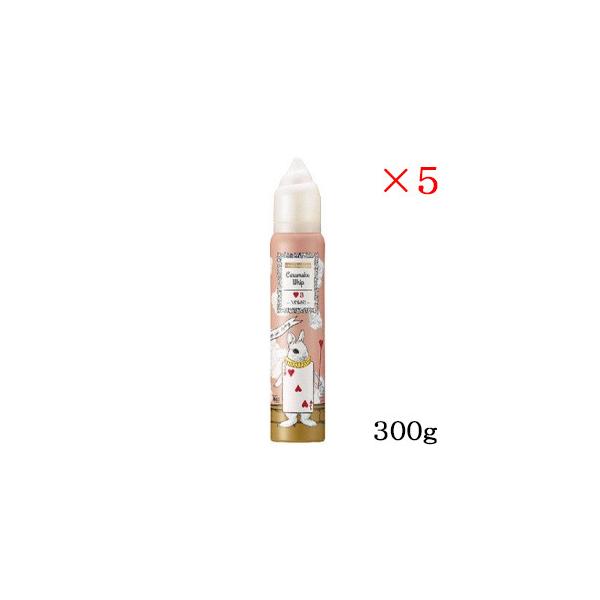 f~ EF[{ WJ[ LCN zCbv 3 300g ×5Zbg