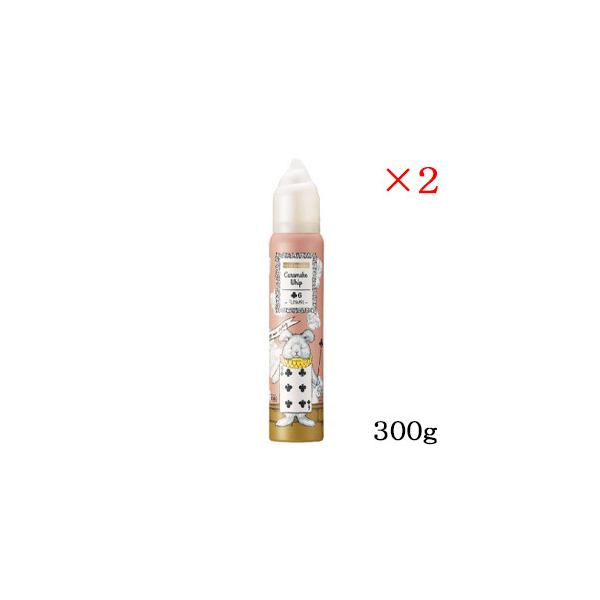 f~ EF[{ WJ[ LCN zCbv 6 300g ×2Zbg