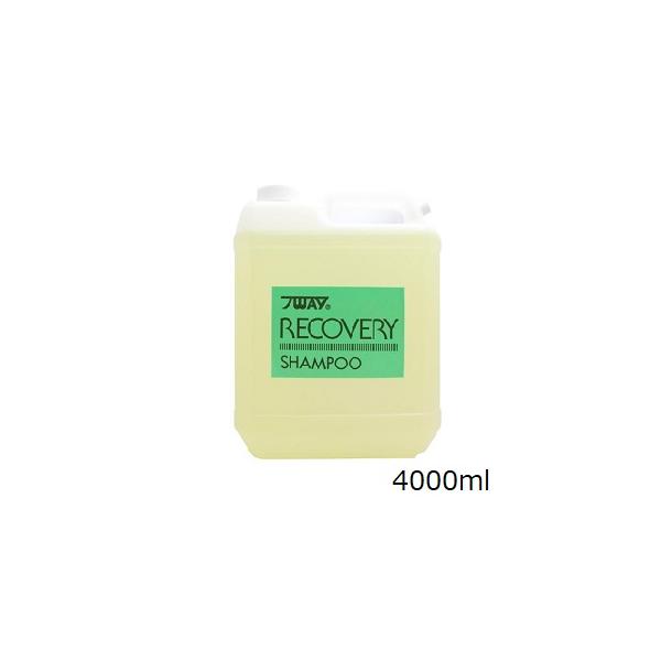 ニューウェイジャパン パイウェイ リカバリー シャンプー 4000ml