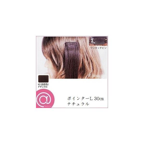 ���[�x �G�N�X�e���V���� �|�C���^�[ L 30cm �i�`������