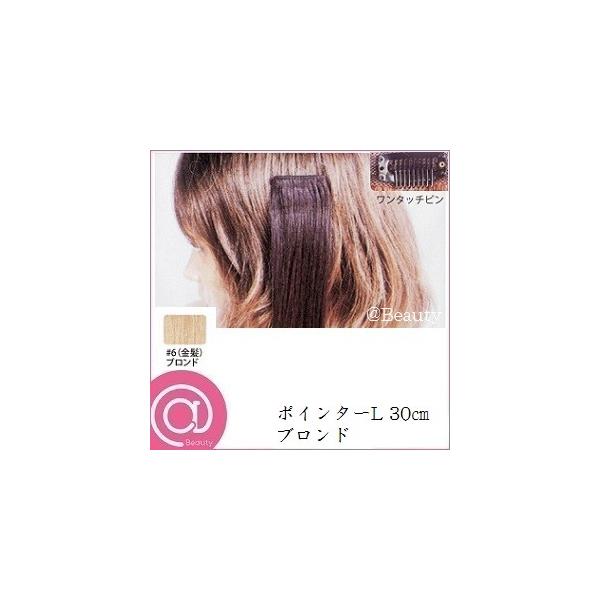 ���[�x �G�N�X�e���V���� �|�C���^�[ L 30cm �u�����h