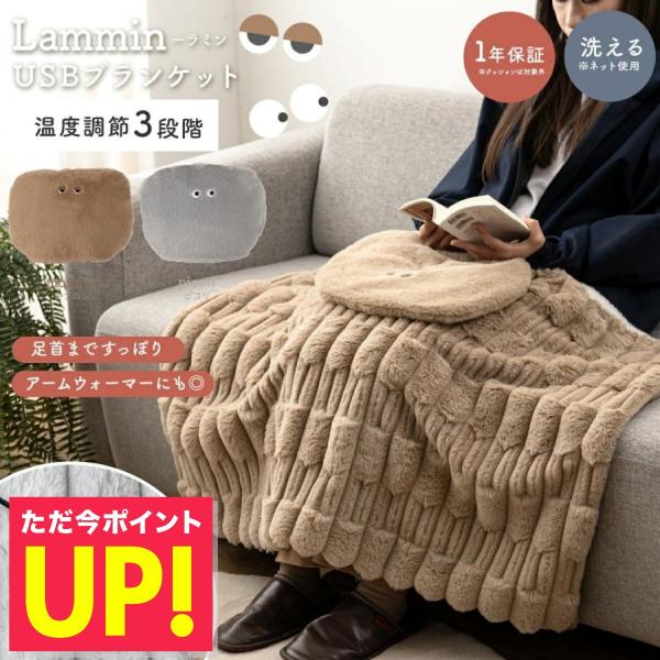 USBブランケット 電気毛布 電気ブランケット あったかグッズ 冷え性