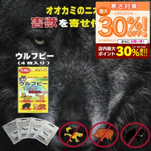 ▼▽▼▽▼▽▼▽▼▽▼▽＼激アツ情報！／【12/7(日)だけ】最大2,500円OFFクーポン解禁！＝5％OFFクーポン（最大500円）×5枚今まさに売れています！●冬の必需品が揃う《あったか特集》！●《キッチンフェア》も開催中！詳しくは下か...