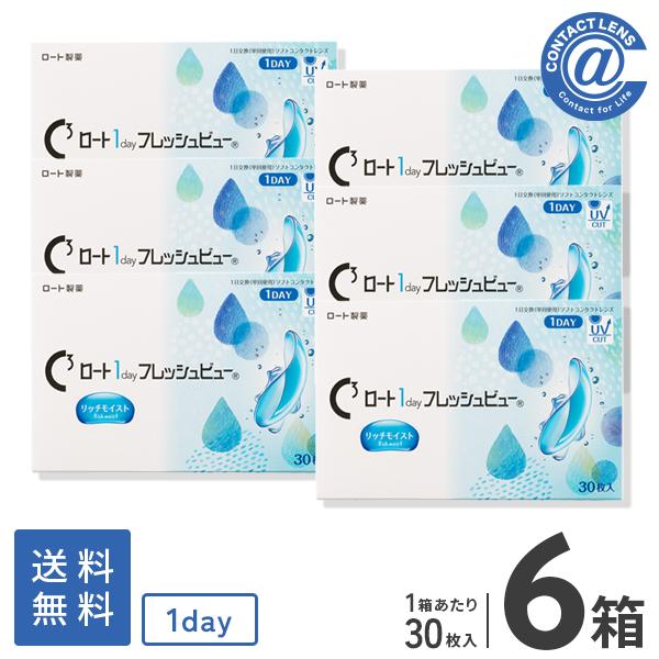 コンタクトレンズ 1DAY ロートワンデーフレッシュビューリッチモイスト 30枚×6箱 送料無料 1日使い捨て