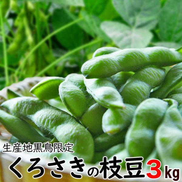 送料無料 朝採り 枝豆 甘味抜群 Ａ級品 新潟くろさき産 3kg「黒埼枝豆」朝どり枝豆 生クール便 黒埼 茶豆 黒崎 くろさき えだ豆