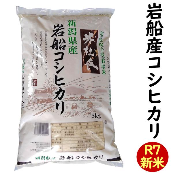 コシヒカリ 白米 令和7年産 新潟 岩船産 5kg こだわりのお米 「米杜氏