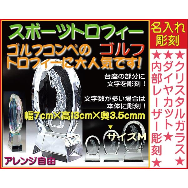 gtB[ ⁚SIWifUCAWfUCOK̓/ij/N kSTCYF6cm×10.5cm×2.5cml