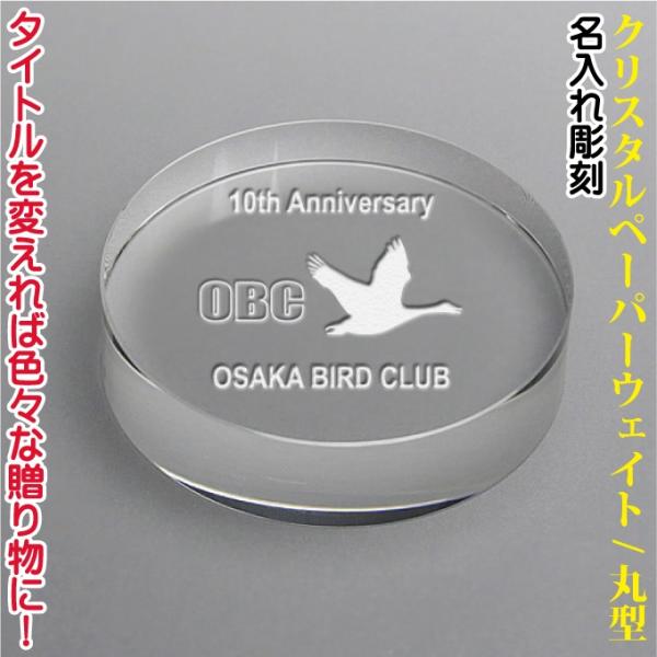 NX^y[p[EFCg DW-01 ~`/70mmi80mmj ʐ^OKIЕ\ LO Vzj JXj ij