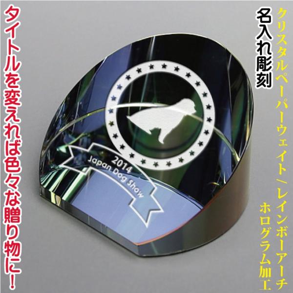 NX^y[p[EFCg DW-04 C{[A[` ʐ^OKIЕ\ LO Vzj JXj ij