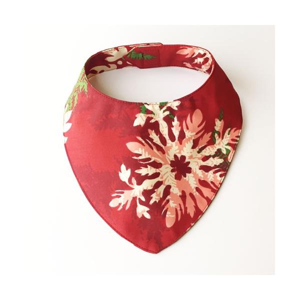 nCA xr[X^C STCY nCA Lgqbhr悾ꂩ ru  nhCh lRɁ