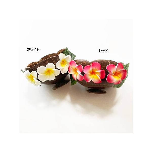 ココナツ ボウル〈 リーフ & プルメリア 〉クリックポスト不可