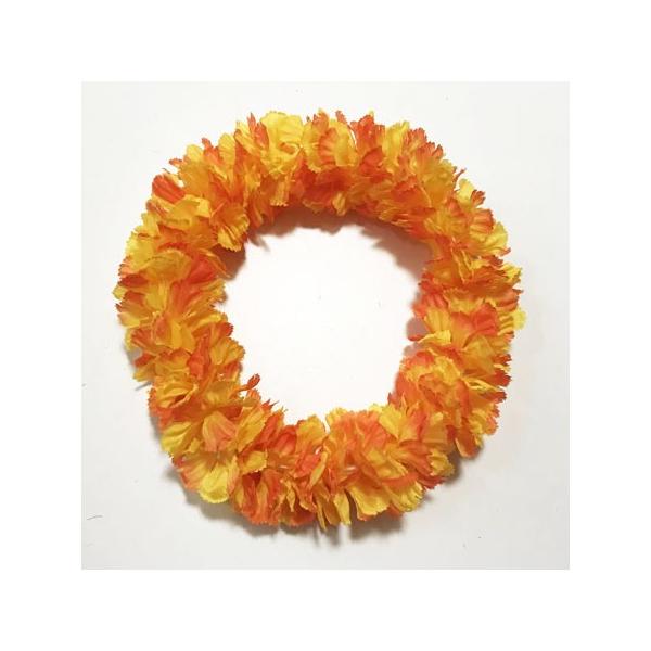 nCA wbhoh nNC J[l[VqIW Of[VrԊ t_X  nCAC t[C [ Ή\