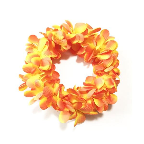 Ԋ wbhoh _uvA IW NbN|XgΉ\  nCAC t[C nNC EGfBO