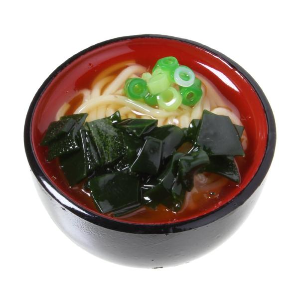 食品サンプル屋さんのマグネットは、実際に飲食店に並んでいる食品サンプル製作を手がけている職人が、ひとつひとつ手作りで作っている本格派の食品サンプルグッズです。本物を製作しているだけあって、その出来は極上！一粒一粒作られたお米、トロトロの卵、...