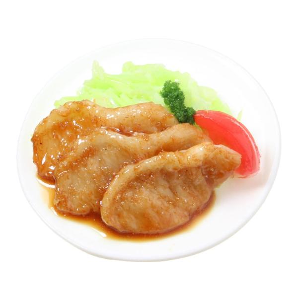 食品サンプル屋さんのマグネットは、実際に飲食店に並んでいる食品サンプル製作を手がけている職人が、ひとつひとつ手作りで作っている本格派の食品サンプルグッズです。本物を製作しているだけあって、その出来は極上！一粒一粒作られたお米、トロトロの卵、...