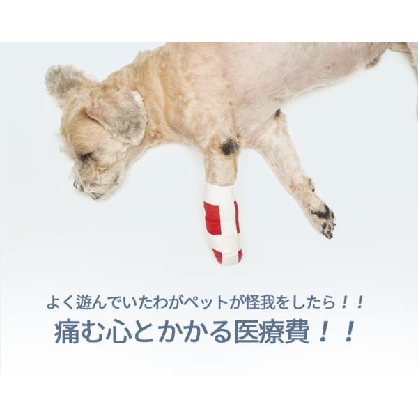 ペットマット おくだけ吸着 滑り防止 保護マット 60 240cm 約4mm カーペット 犬 フローリング 滑り止め 撥水 床暖房対応 日本製 送料無料 Buyee Buyee Japanese Proxy Service Buy From Japan Bot Online