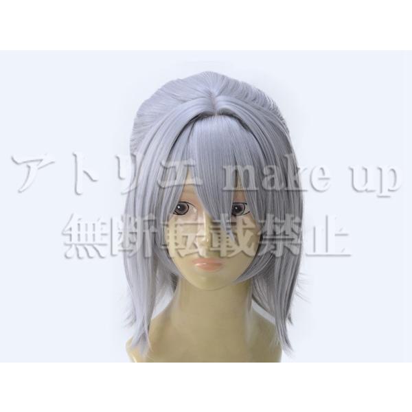【Fate grand order コスプレ用ウィッグ】アントニオ サリエリ ハロウイン アニメ マンガ ゲーム コスプレ用品 洗髪可 cosplay wig