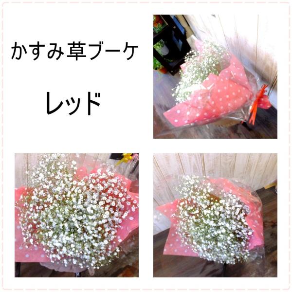 かすみ草だけの花束m Buyee Buyee Japanese Proxy Service Buy From Japan Bot Online