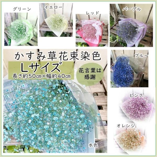 ݑԑ߂kTCYӂ̂ԒaELOu[Ep[vEsNEbhȂǑIׂ8F