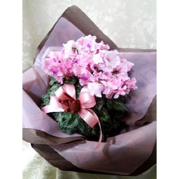 VNt@o[Y6tX܂ô悤ȍFi