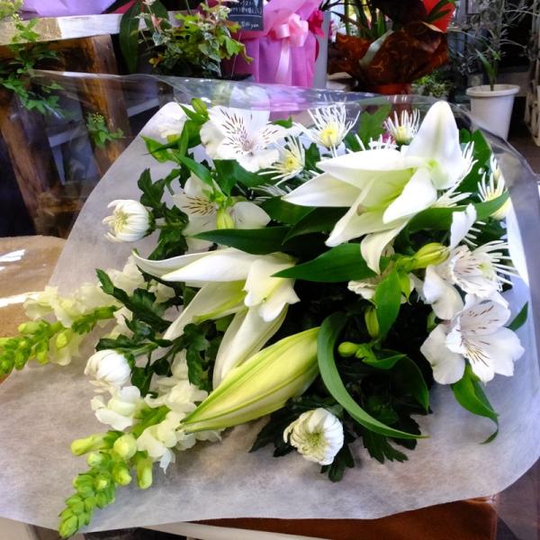   49  r͂ ԕrp  @ eƃIG^̒zCgnԑ