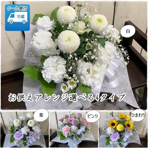 生花 キキョウ トルコの人気商品 通販 価格比較 価格 Com