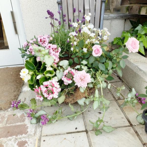 藤カゴリースラベンダーバーベナピンクパフェミニバラ寄せ植え Yuse あとりえ 悠然 通販 Yahoo ショッピング