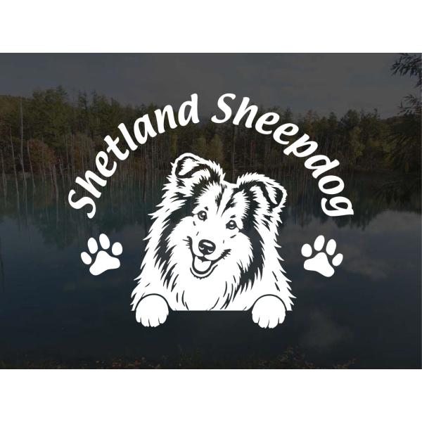 愛犬笑顔ステッカー シェットランドシープドッグ シェルティー [W185×H150] 犬のステッカー シール カッティングステッカー 車ステッカー