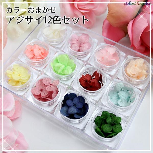 AWTC12FZbg J[܂ P[X Wp[c n[oEA}bNXo[