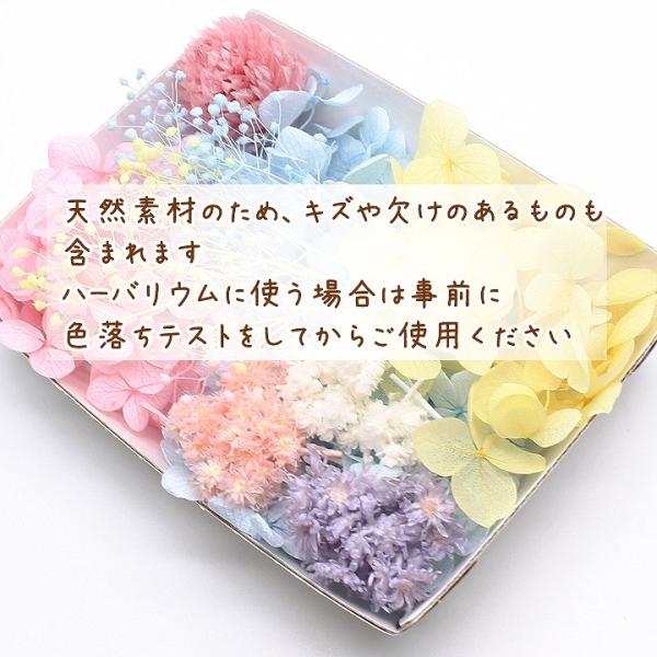 パステルスイート花材セット 1ケース ハーバリウムやアロマワックスバー プリザーブドフラワー 紫陽花 アジサイ かすみ草 Buyee Buyee Japanese Proxy Service Buy From Japan Bot Online