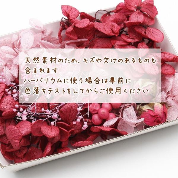 10 Off クラシカルローズ花材セット 1ケース ハーバリウムやアロマワックスバー ボタニカルサシェにも プリザーブドフラワー アジサイ 薔薇 バラ レッド Buyee Buyee Japanese Proxy Service Buy From Japan Bot Online