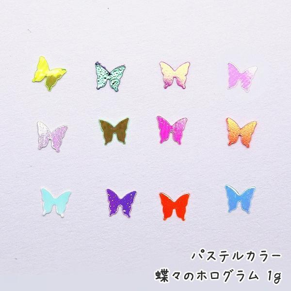 パステルカラー蝶々のホログラム 1g レジン封入材料 ラメ 蝶ホロ