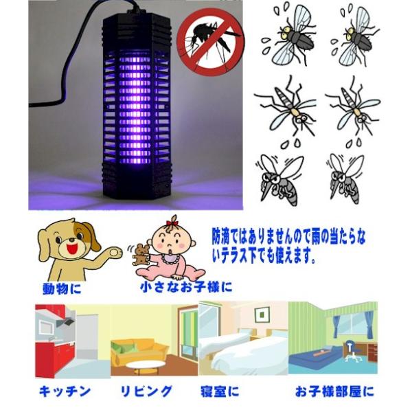 電撃殺虫器 ハイパワー6w電撃殺虫機 長寿命管採用 人気ランキング 蚊 ハエ ヤブ蚊 虫 Buyee Buyee Japanese Proxy Service Buy From Japan Bot Online