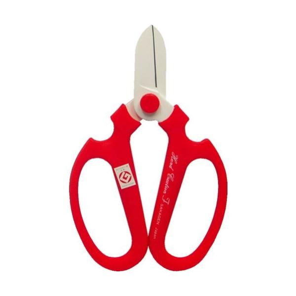 ⌹@nhNG[V@ bh@F-170@Ԃ͂