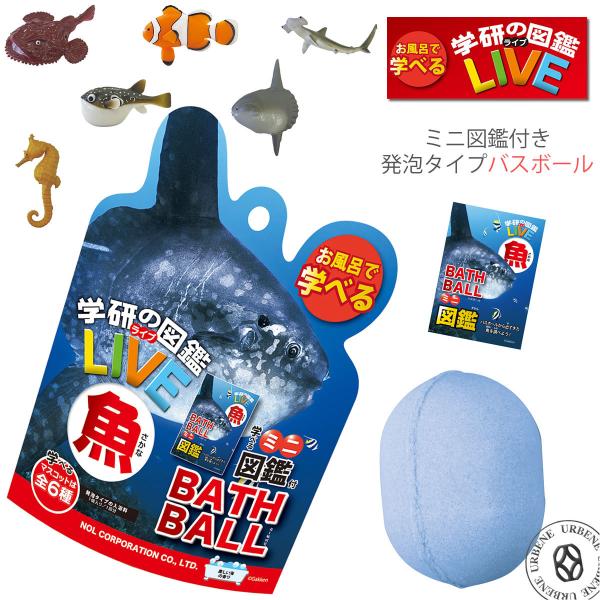 oX{[ w̐}ӃCuLIVE  C̍ }XRbg A^Cv oX{  oXpi ӂ oXtBY bNX 