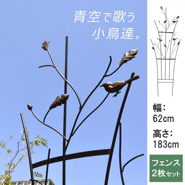 atgarden_ss-ipn-7664-2p