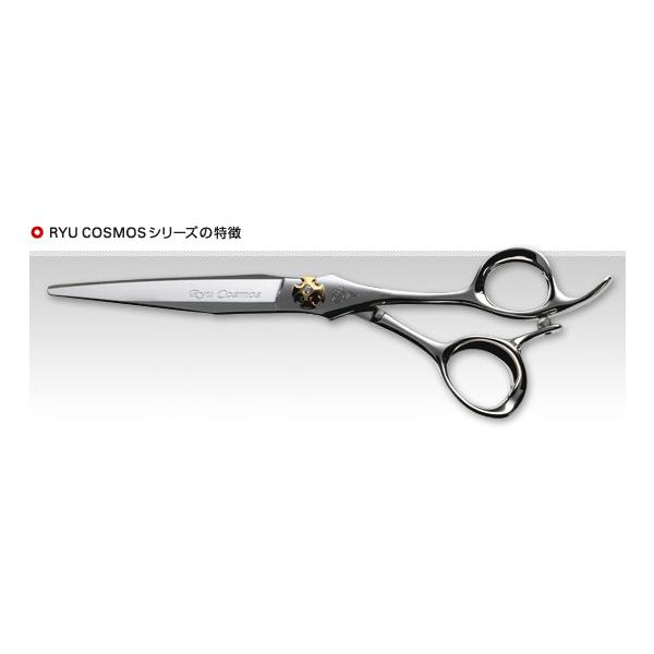龍コスモス 171 5.8インチ 聖龍 Ryu