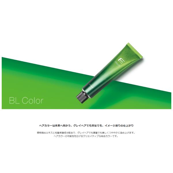 FIOLE(フィヨーレ) BLカラー GRグレイアッシュ 7色 120g : アット