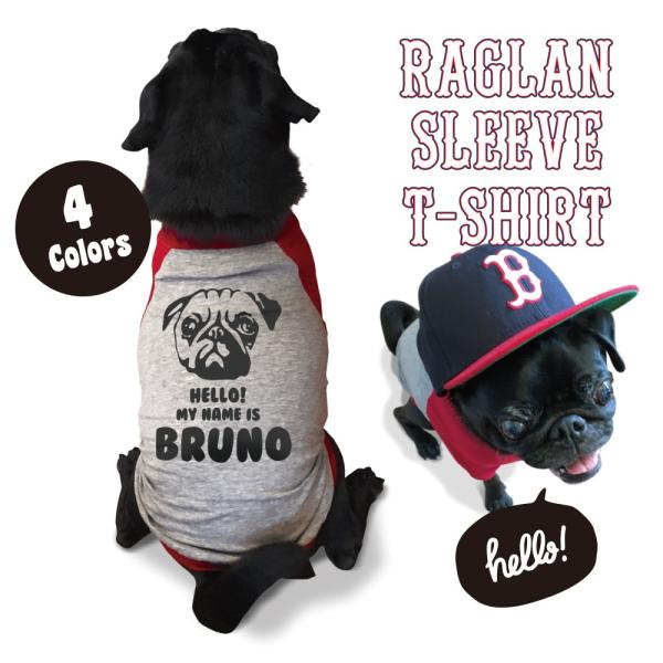 athos_fbpugraglanface