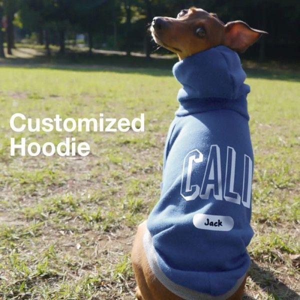 C^O  VeB[vg vI[o[ t[fB[01 C^AOCnEh [ 